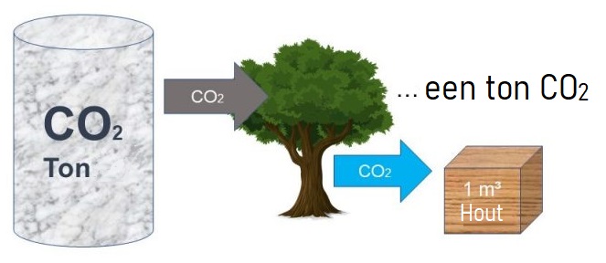 een ton co2, co2 opname hout, co2 absorptie van hout, hout CO2 vriendelijk,