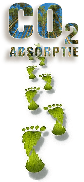 Accoya kozijnen, Kozijn van Accoya, deuren van Accoya, ramen Accoya, Schuifpui Accoya, vouwdeuren Accoya, Harmonica vouwdeuren, Accoya hout,