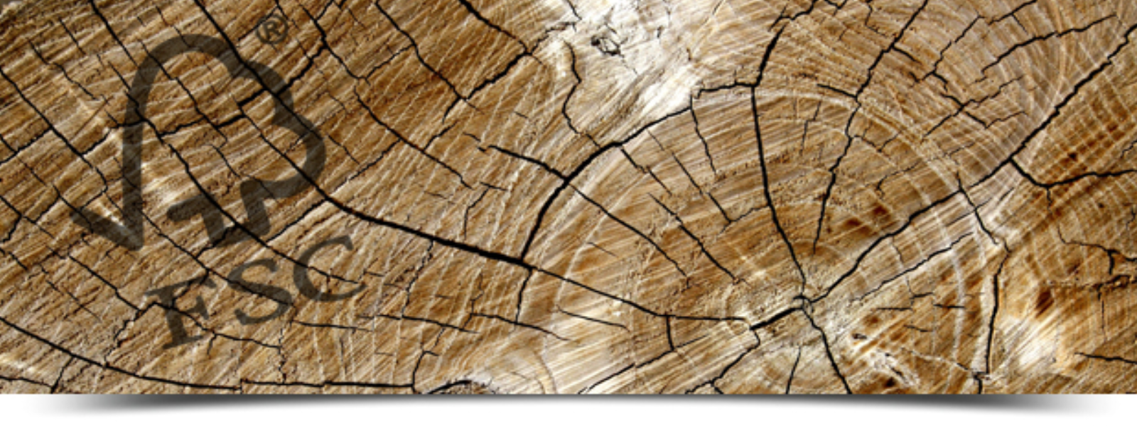 FSC hout, duurzame houten kozijnen, Duurzaam bos beheer, houten kozijnen met FSC,