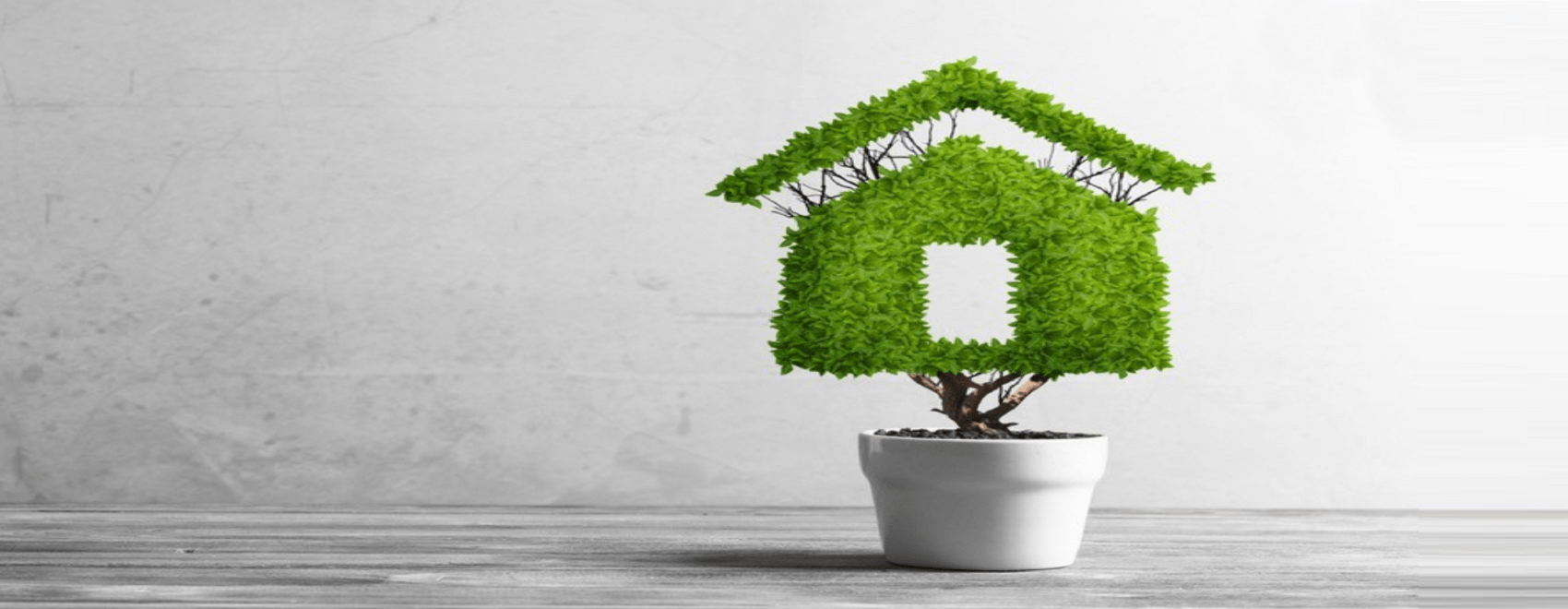 houten kozijnen, Co2 opslag, CO2 uitstoot, CO₂-equivalent, CO₂ in hout, hout natuurlijk,