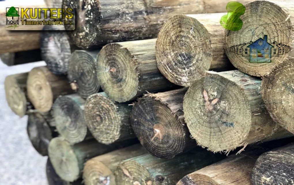 Accoya, kozijnen van accoya,, gemodificeerd hout, accoya hout, duurzaam hout, cradle to cradle hout, CO2 vriendelijk, 110% duurzaam, Accoya mogelijkheden, innovatie hout accoya, accoya isolerend, Nederlands hout Accoya,