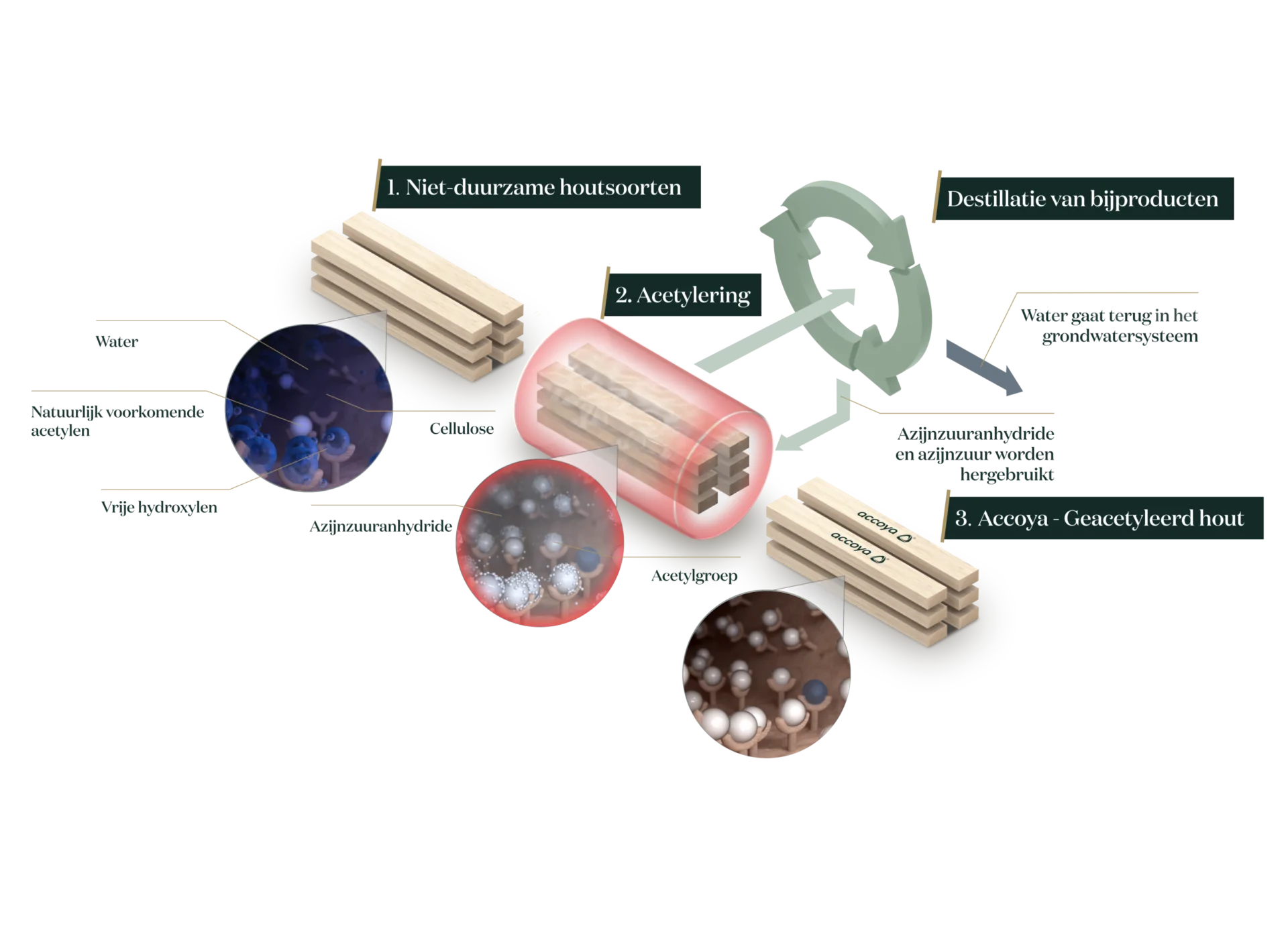 Accoya, gemodificeerde hout Accoya, hout van Accoya, Accoya kozijnen, Accoya deuren, Accoya vouwdeuren, Accoya schuifpui, Accoya voordeur, gevelkozijnen van Accoya, duurzaamste hout, beste hout van Nederland,