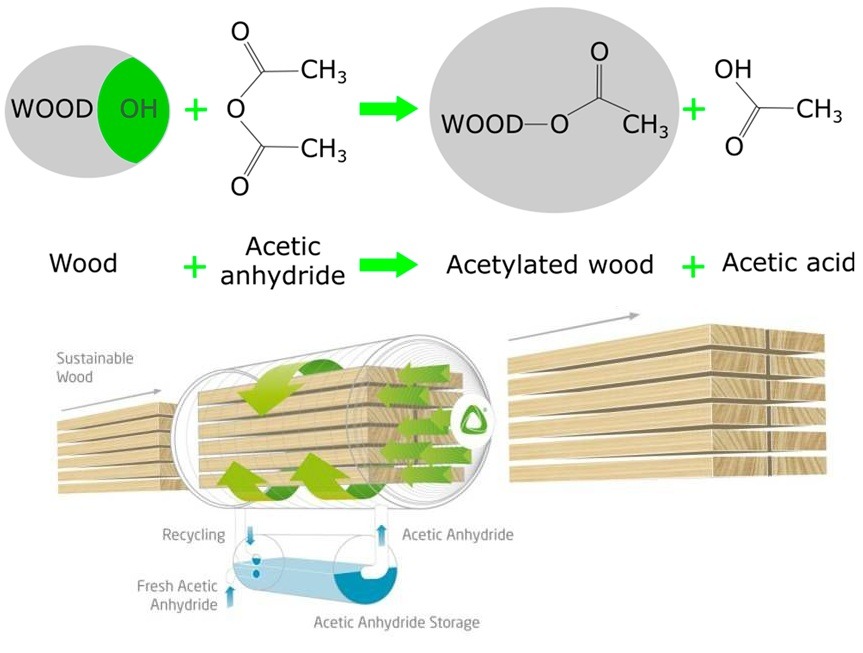 Accoya, gemodificeerde hout Accoya, hout van Accoya, Accoya kozijnen, Accoya deuren, Accoya vouwdeuren, Accoya schuifpui, Accoya voordeur, gevelkozijnen van Accoya, duurzaamste hout, beste hout van Nederland,