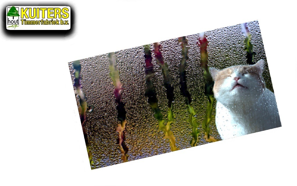 schimmel op ramen, condens op ramen, binnenkant condens op ramen buitenkant, waarom condens op ramen, condens op dubbel glas, condens tussen dubbel glas, vocht op ramen in huis, hoe condens op ramen voorkomen, ramen beslaan binnen, ramen beslaan buiten, condens raam oplossen