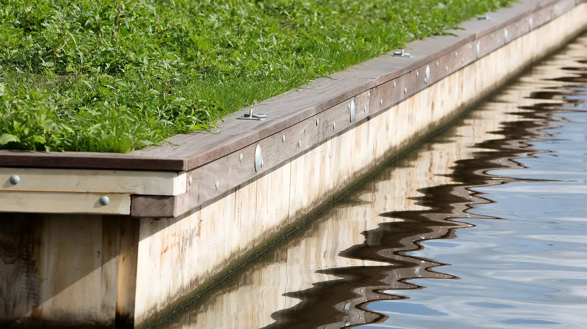 Accoya, kozijnen van Accoya, gemodificeerd hout, Accoya hout, duurzaam hout, cradle to cradle hout, CO2 vriendelijk, 100% duurzaam, Accoya mogelijkheden, innovatie hout Accoya, Accoya isolerend, Nederlands hout Accoya,
