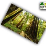 duurzame kozijnen, Eco kozijnen, CO2 opslag kozijnen, duurzaamste ramen en deuren, ecologische kozijnen, FSC kozijnen, KOMO kozijnen, Isolerende kozijnen,