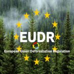 EUDR, EUTR-EUDR, 2026/2027 verplichtingen houtbranche, DDS nummer hout, EUDR voor timmerfabriek, EUDR hout 2026, EUDR houten kozijnen, EUTR naar EUDR, FSC, FSC en PEFC bij de EUDR, Due Diligence Statement (DDS),