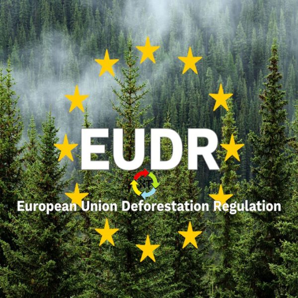 EUDR, EUTR-EUDR, 2026/2027 verplichtingen houtbranche, DDS nummer hout, EUDR voor timmerfabriek, EUDR hout 2026, EUDR houten kozijnen, EUTR naar EUDR, FSC, FSC en PEFC bij de EUDR, Due Diligence Statement (DDS),