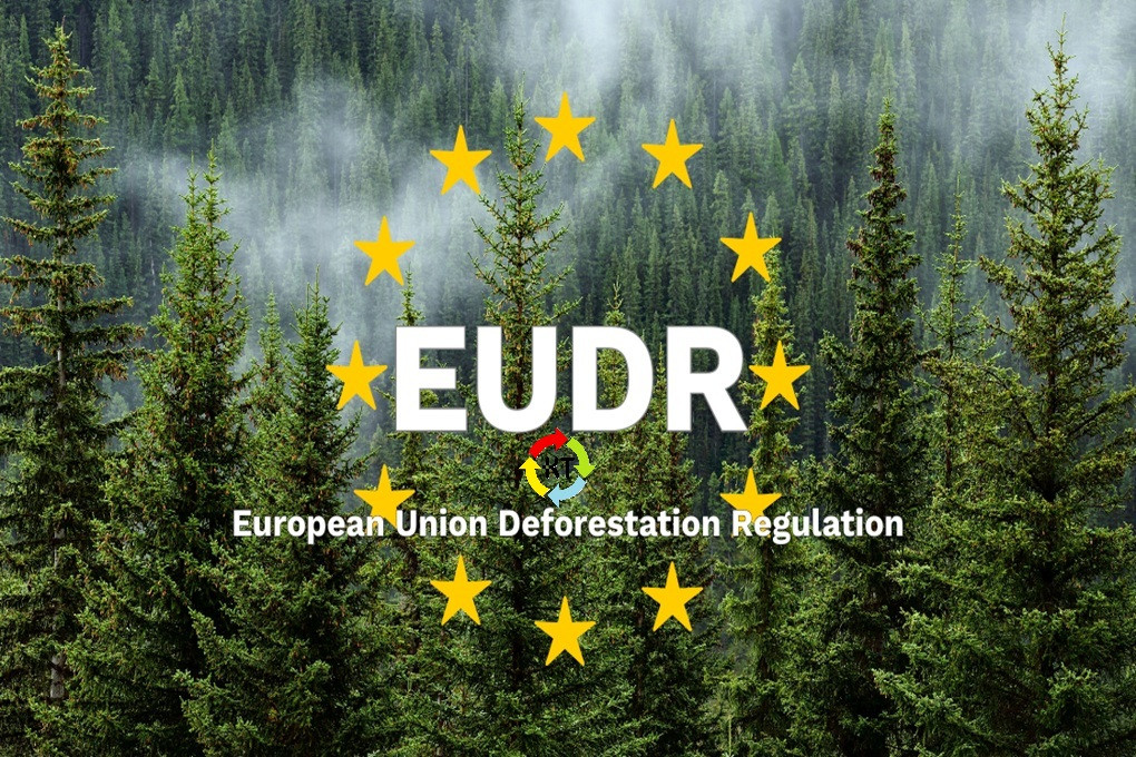 EUDR, EUTR-EUDR, 2026/2027 verplichtingen houtbranche, DDS nummer hout, EUDR voor timmerfabriek, EUDR hout 2026, EUDR houten kozijnen, EUTR naar EUDR, FSC, FSC en PEFC bij de EUDR, Due Diligence Statement (DDS),