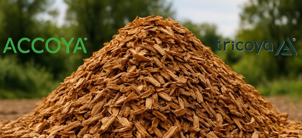 Tricoya, Accoya mdf, duurzaam mdf, CO2 mdf, Vezel Accoya, houtvezels Accoya, Eco mdf platen, gemodificeerde mdf,