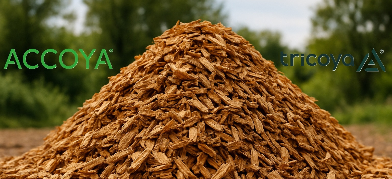 Tricoya, Accoya mdf, duurzaam mdf, CO2 mdf, Vezel Accoya, houtvezels Accoya, Eco mdf platen, gemodificeerde mdf,
